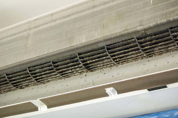 Best Best Air Duct Cleaning Near Me  in Dane, WI