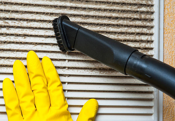 Best Local Air Duct Cleaning Services  in Dane, WI